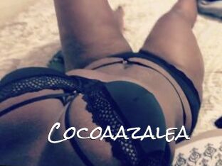 Cocoaazalea