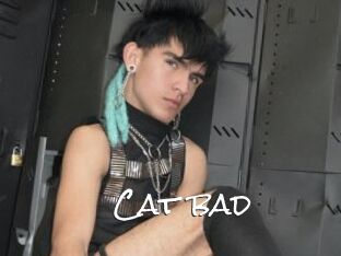 Cat_bad