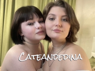 Cateandedina