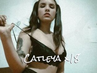 Catleya_x18