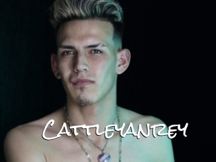 Cattleyanrey