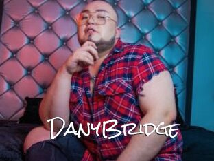 DanyBridge