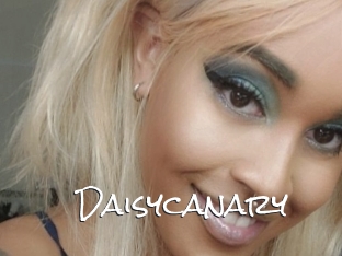 Daisycanary