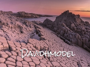 Davidhmodel