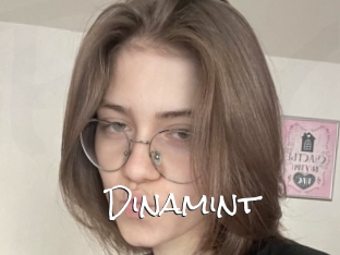 Dinamint