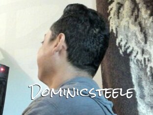 Dominicsteele