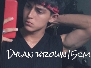 Dylan_brown15cm