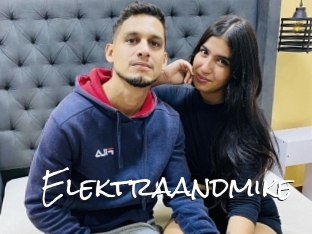 Elektraandmike