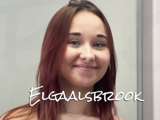 Elgaalsbrook