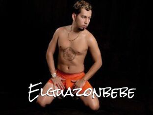 Elguazonbebe