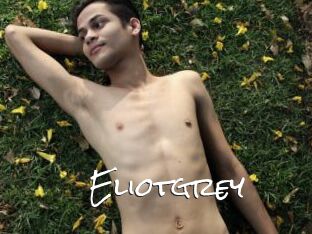 Eliotgrey