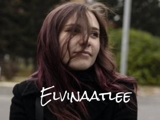 Elvinaatlee