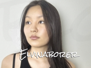 Elvinaborer