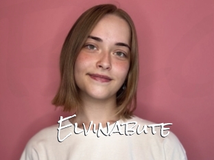 Elvinabute