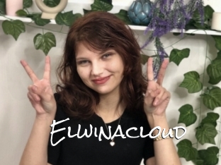 Elwinacloud