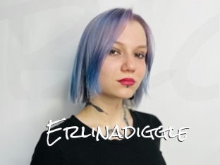 Erlinadiggle