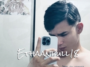 Ethaanbull18