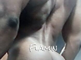 Flamin