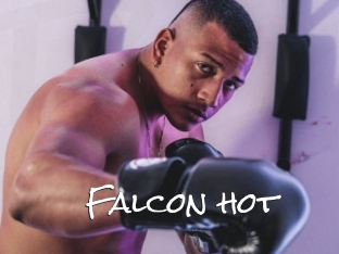 Falcon_hot