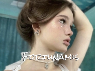 Fortunamis