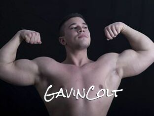 GavinColt