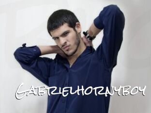 Gabrielhornyboy