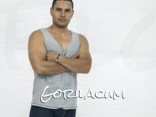 Gorilacum