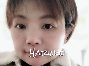 Haringo