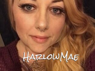 HarlowMae