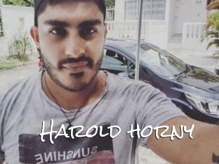 Harold_horny