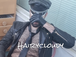 Hairycloudy