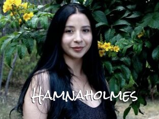 Hamnaholmes