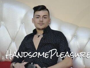 HandsomePleasure