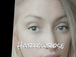 Harlowrose
