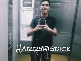 Harrybigdick