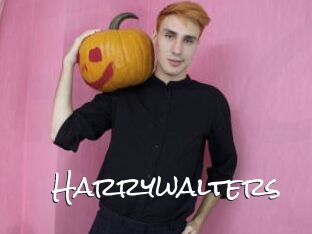 Harrywalters