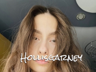 Hollisgarney