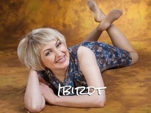 Ibirdt