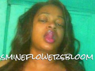 Jasmineflowersbloom