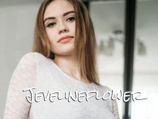 Jevelineflower