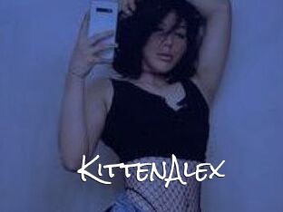 KittenAlex