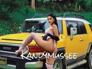 Kandymussee