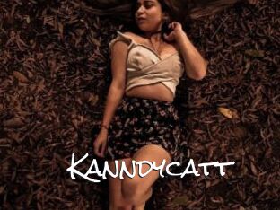 Kanndycatt