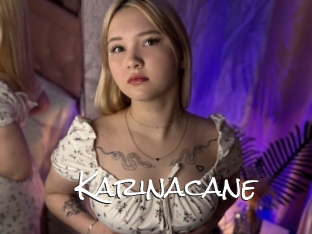 Karinacane