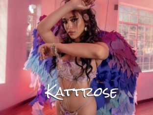 Kattrose