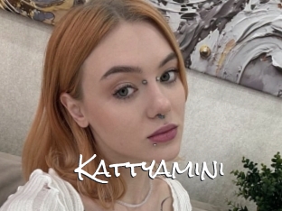 Kattyamini