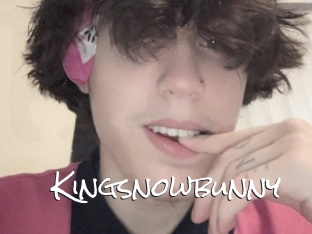 Kingsnowbunny