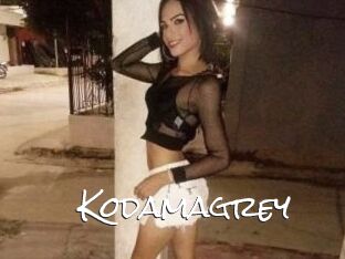 Kodamagrey