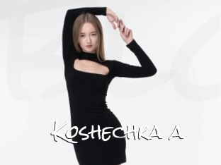 Koshechka_a