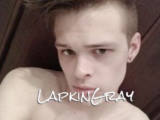 LapkinGray